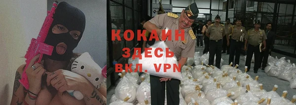 мдпв Богородицк