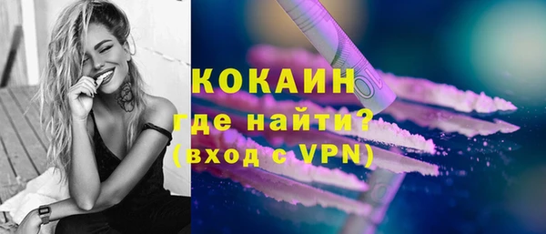 мдпв Богородицк