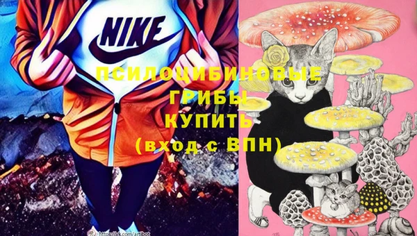 мдпв Богородицк