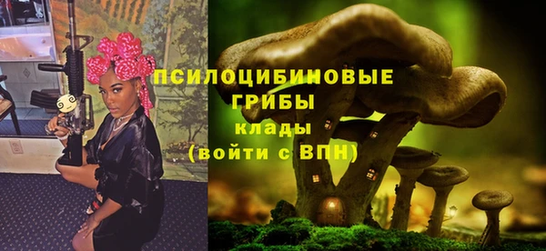 гидропоника Богданович