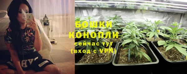 мдпв Богородицк