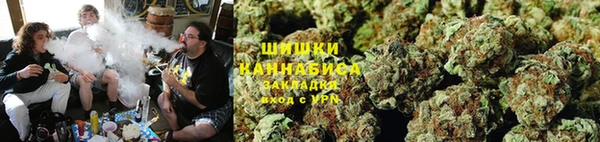 спиды Богородск
